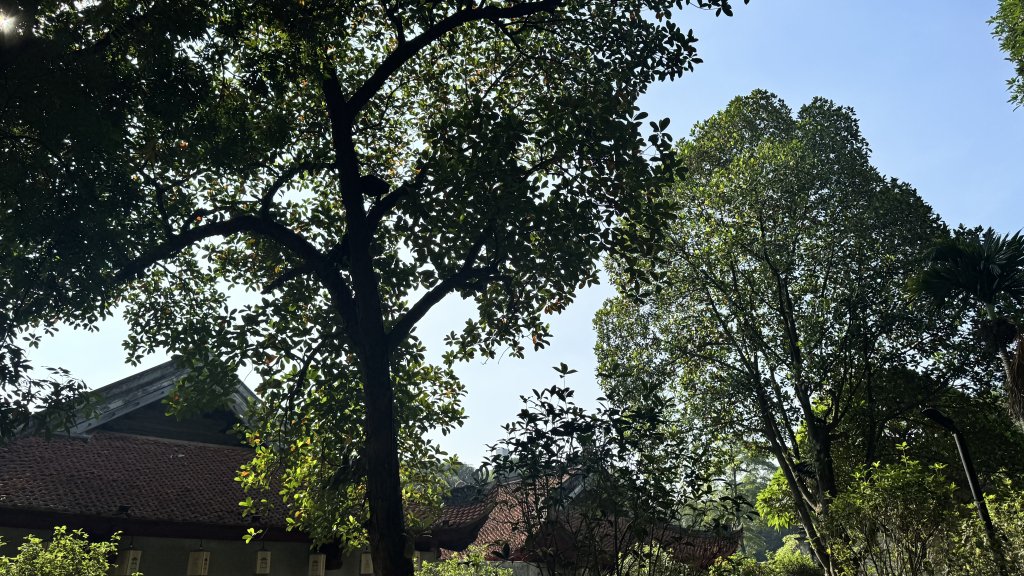 IMG_7441.jpeg