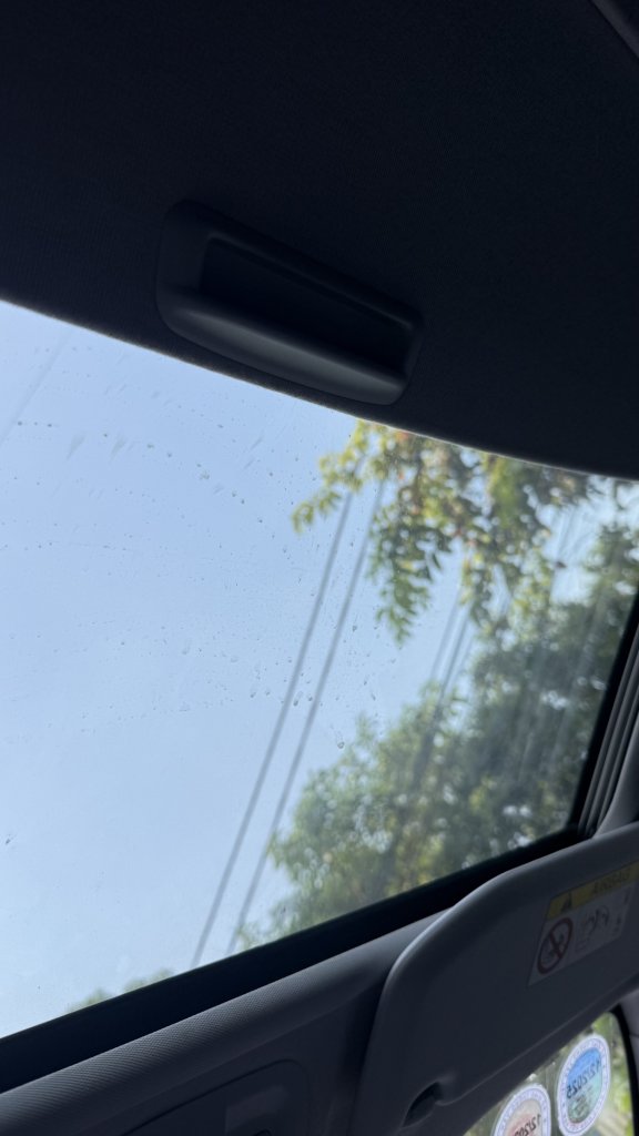IMG_1965.jpeg