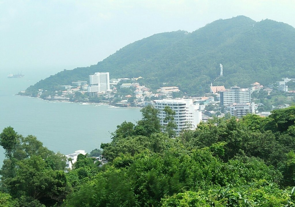 IMG_20241007_131149.jpg