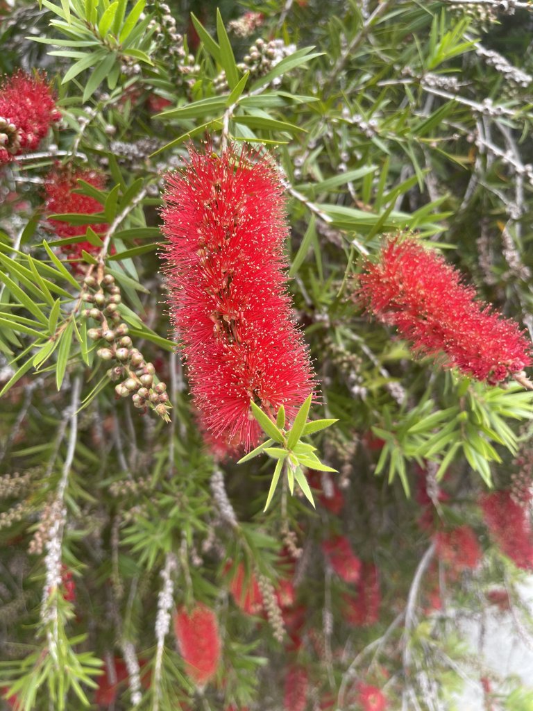 IMG_1503.jpeg