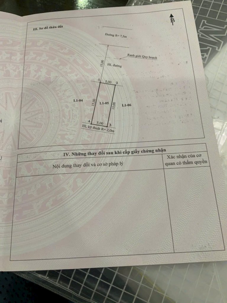 1000035223.jpg