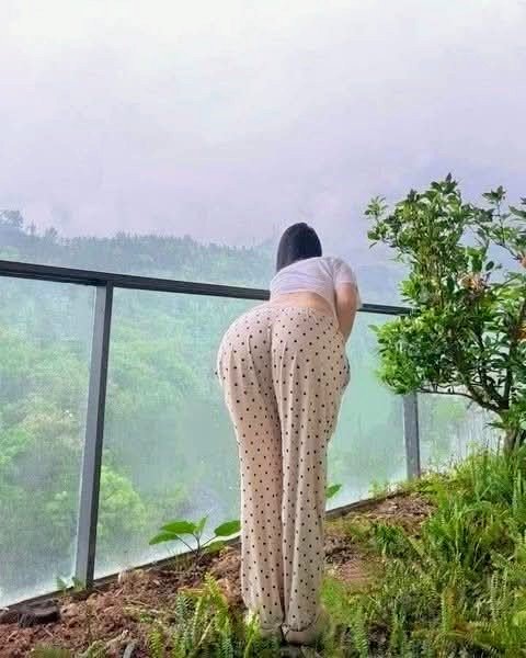 1000028520.jpg