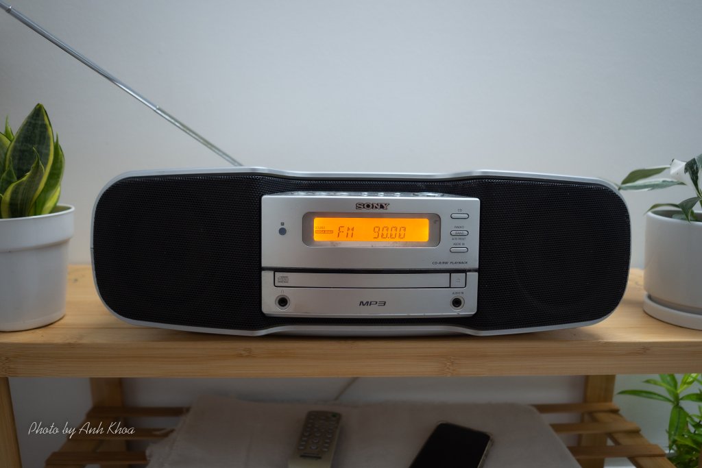 EM100336-2.jpg