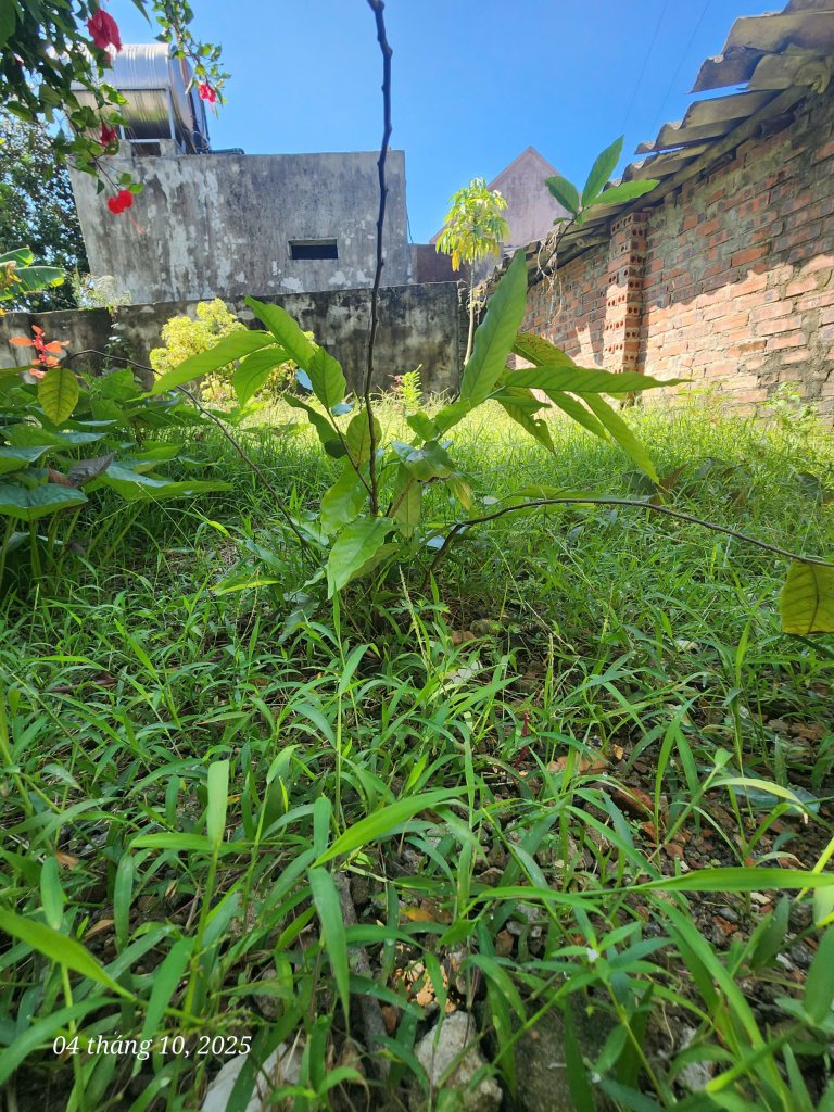 z7100469772670_41e7e2863a87c12e05d6ba1bbba10ba7.jpg