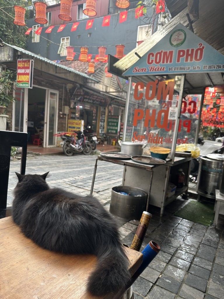 IMG_5610.jpeg