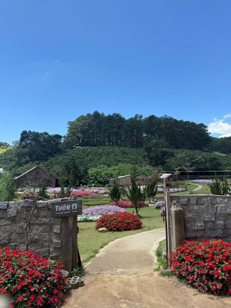 IMG_6424.jpeg