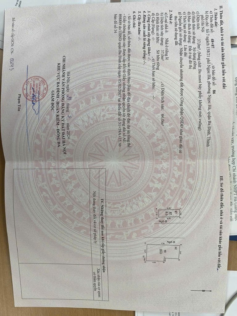 953.jpg