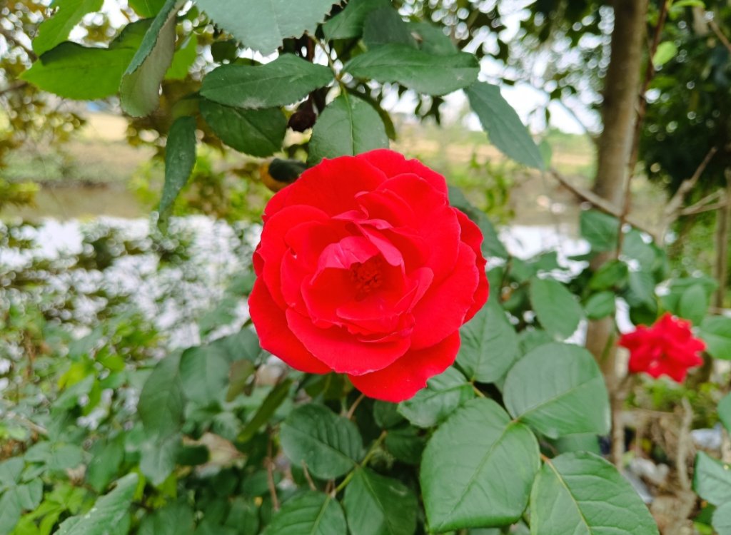 IMG_20251011_181308.jpg