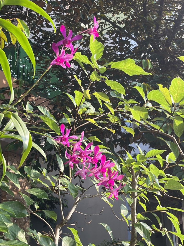 IMG_4176.jpeg