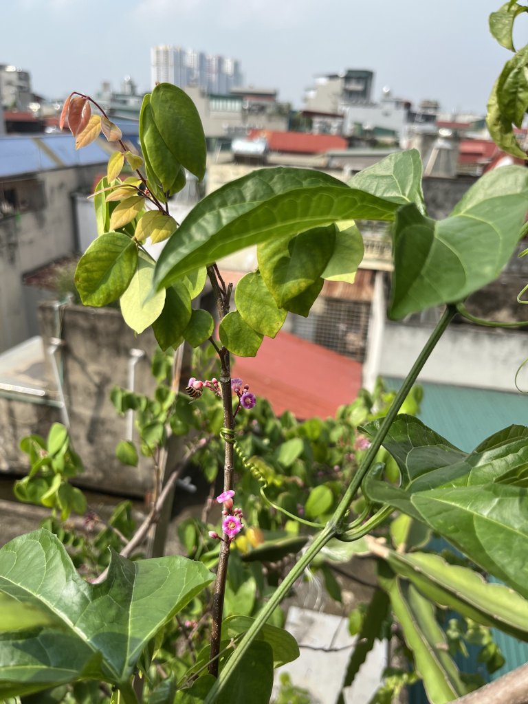IMG_1159.jpeg