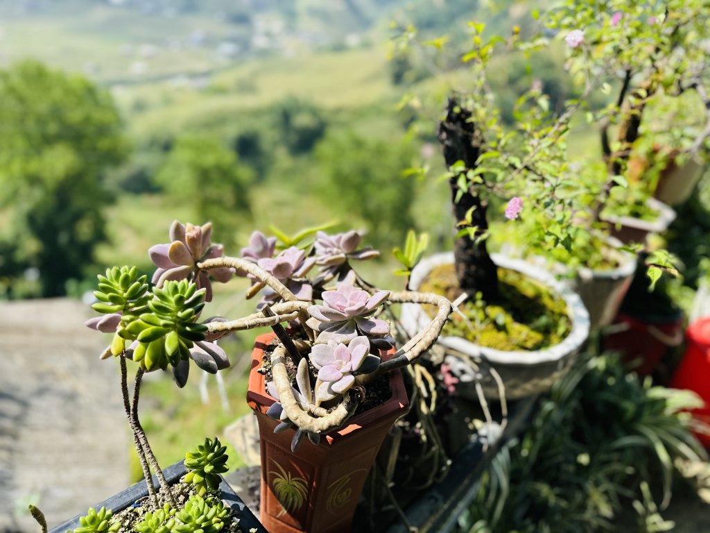 IMG_5995.jpeg