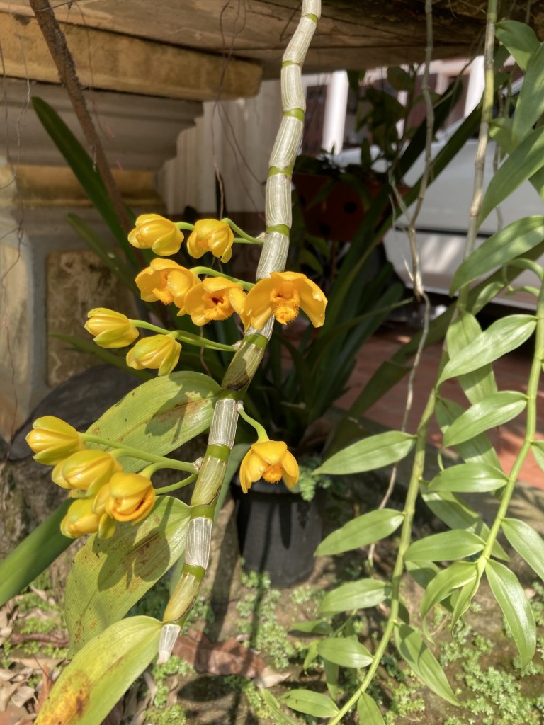 IMG_5808.jpeg
