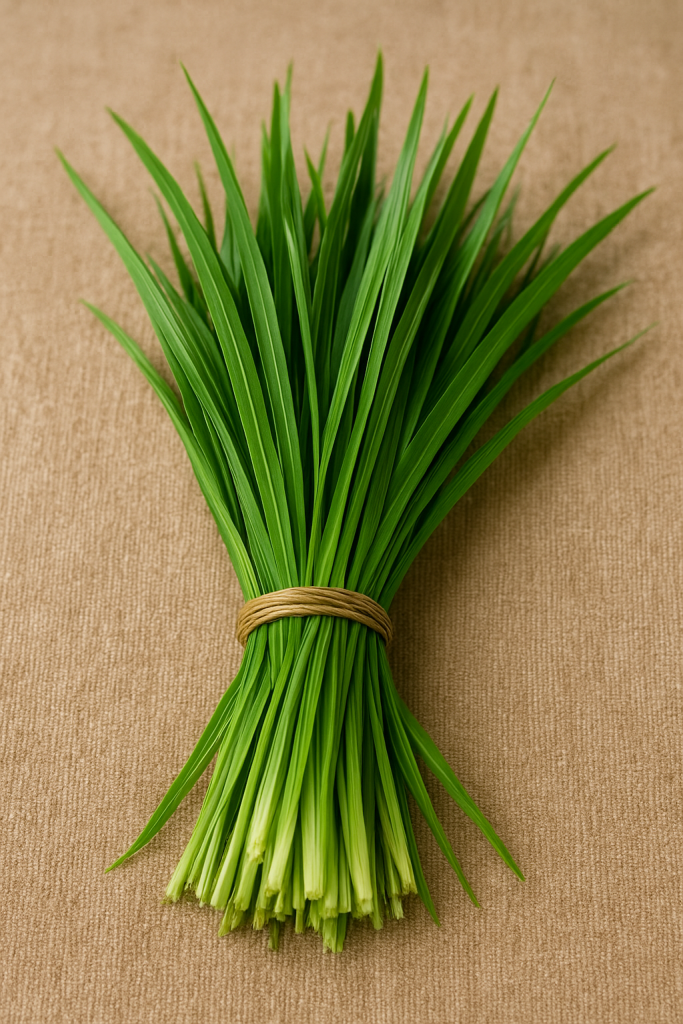 file_0000000045ac61f49cff39c3f2619448.png