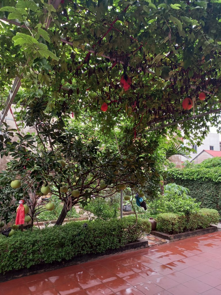 20230826_080245.jpg