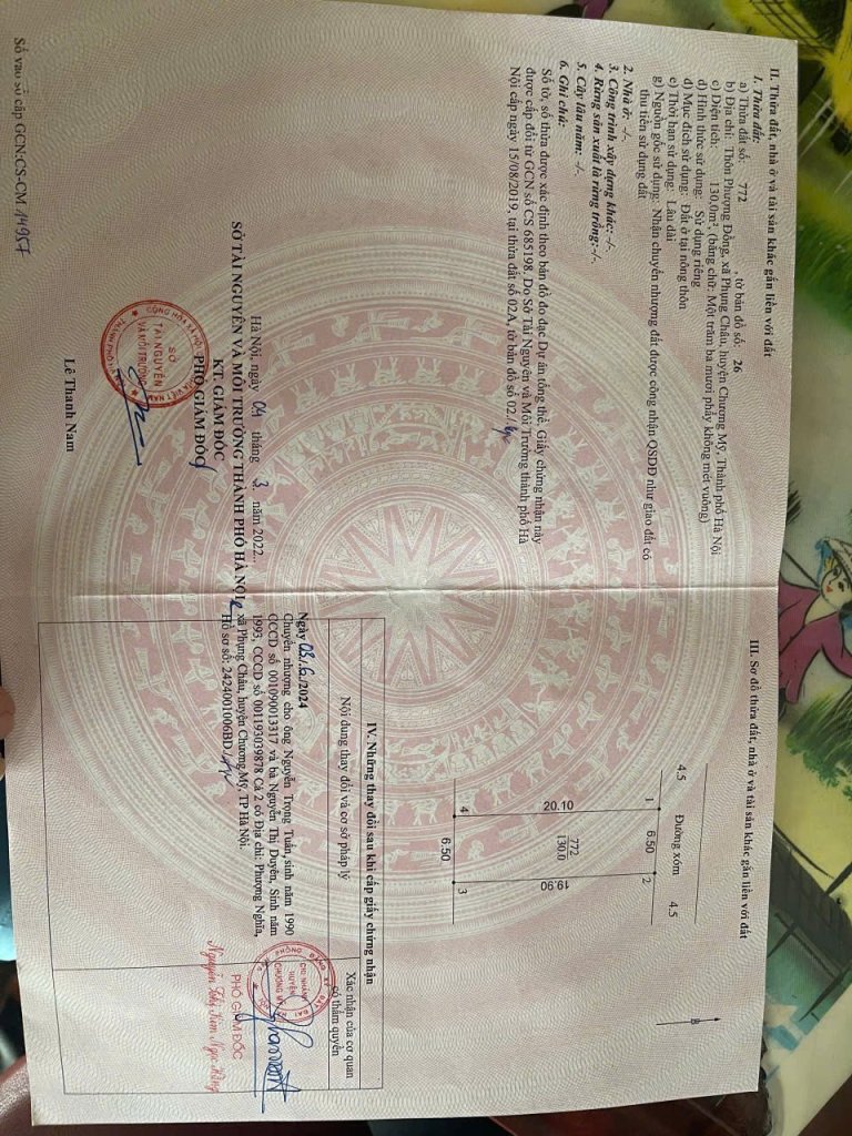 1000005357.jpg