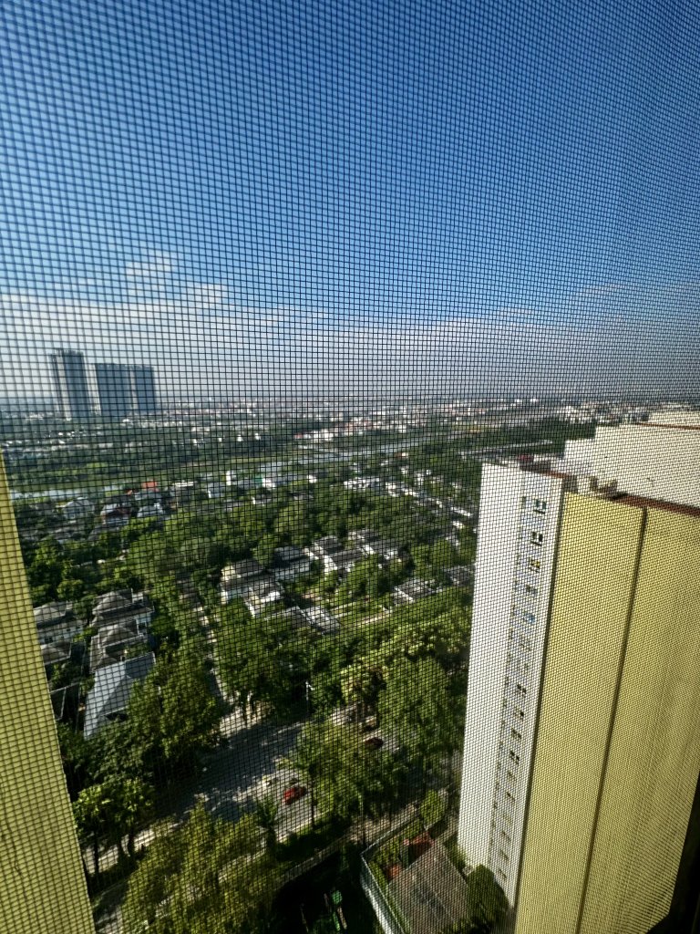 IMG_2391.jpeg