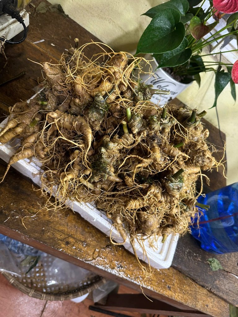 IMG_9450.jpeg