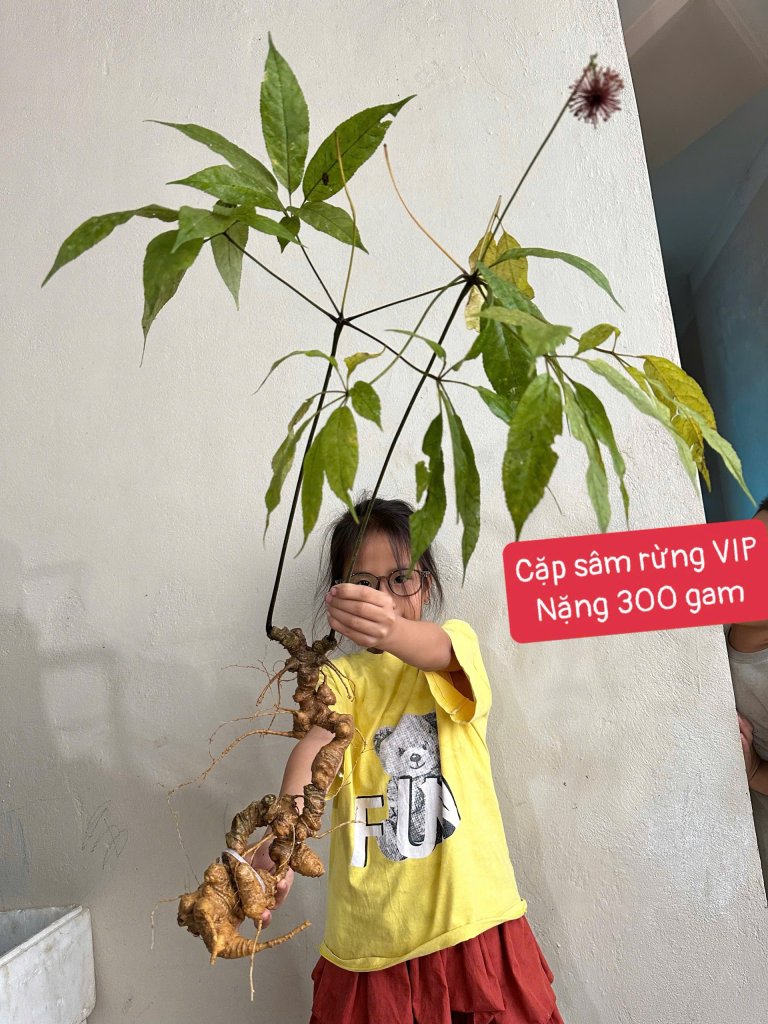 IMG_9493.jpeg