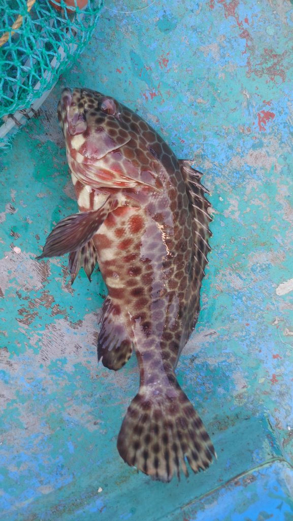 2025-10-11 15.06.01.jpg