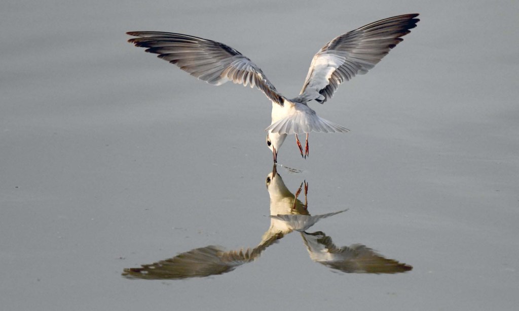 Sự kiện (3_159).jpg