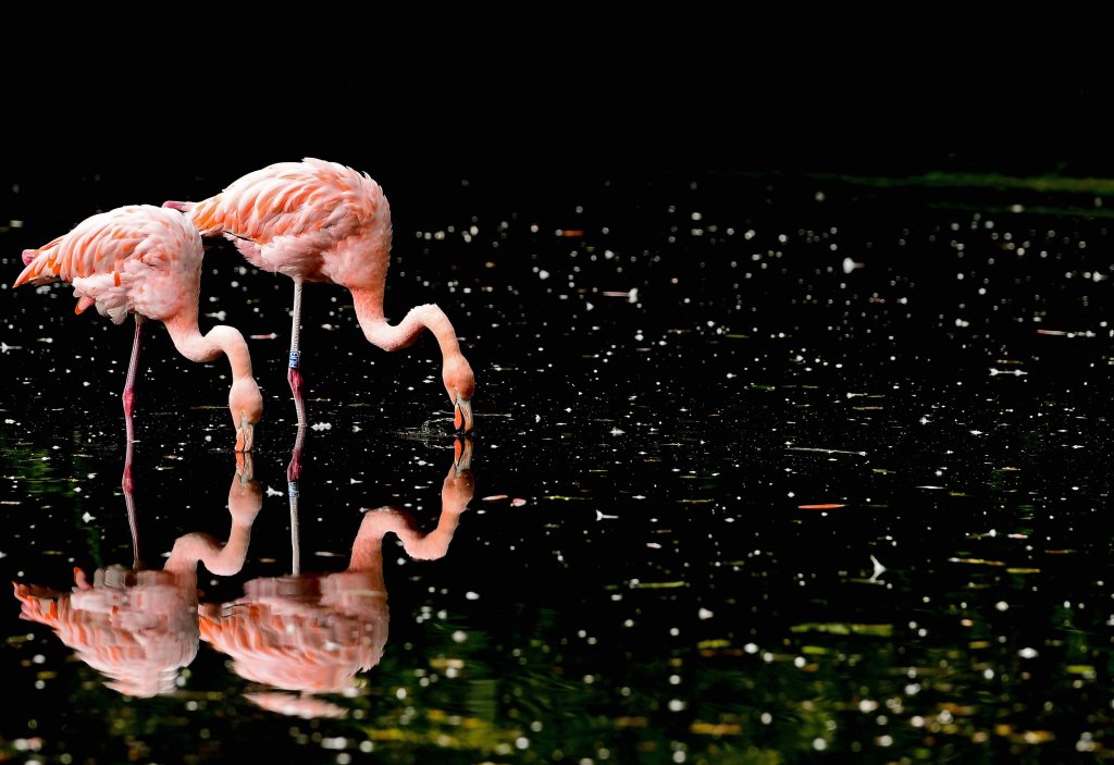 Sự kiện (3_179).jpeg