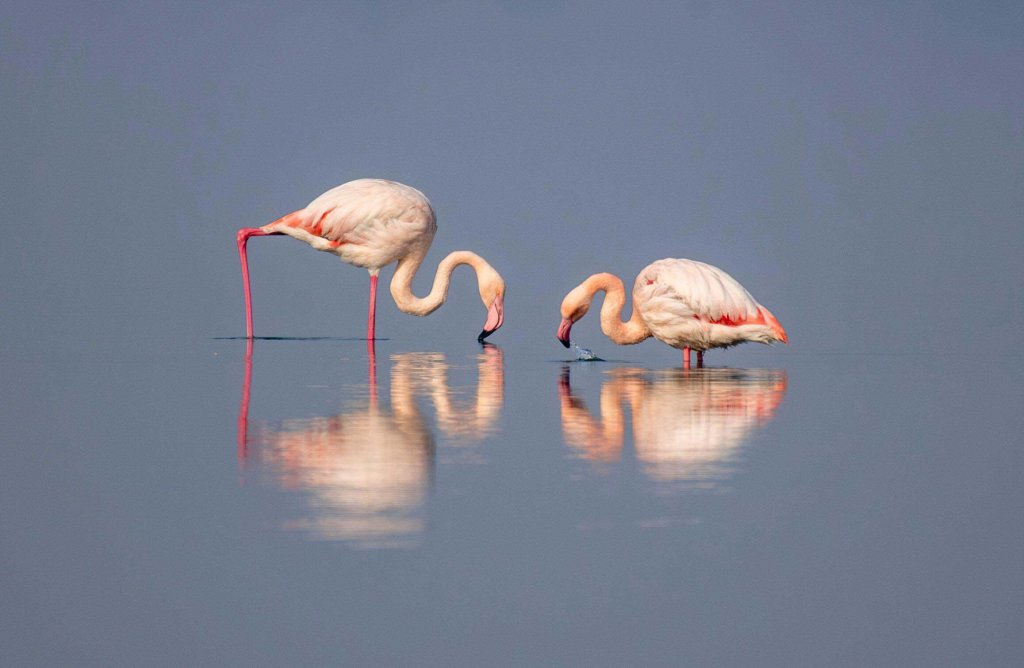 Thiên nhiên (54_37).jpg