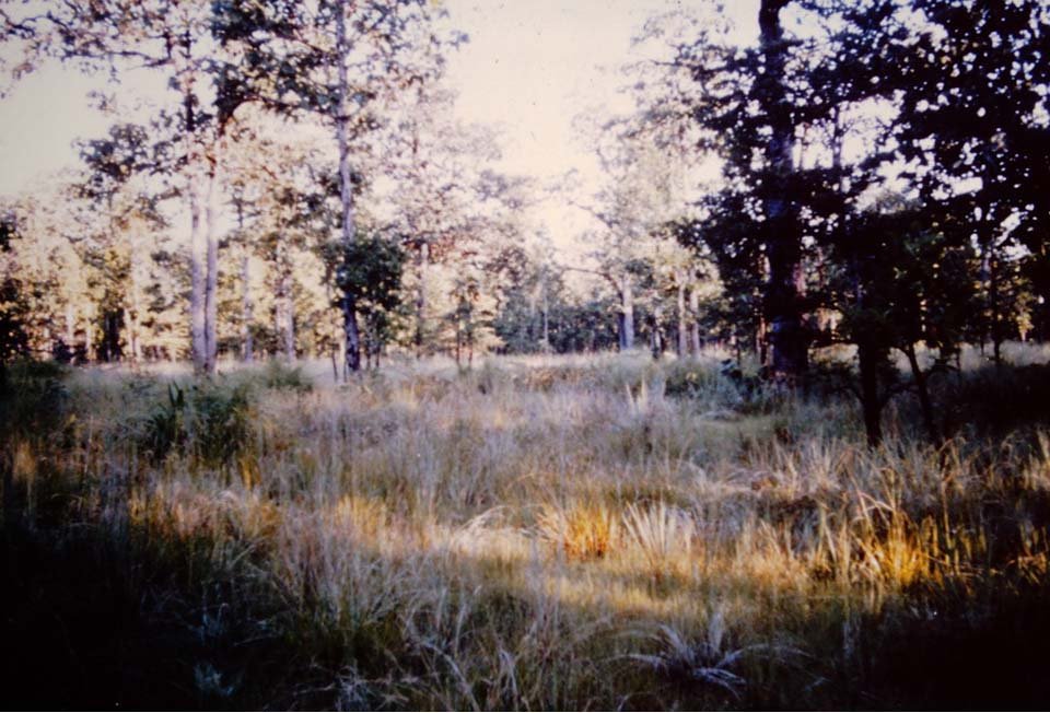 Ia Drang 1965_11_14 (24_1).jpg