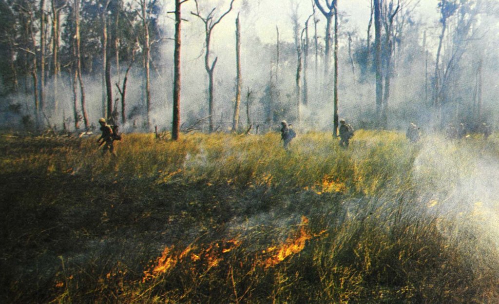 Ia Drang 1965_11_14 (24_2).jpg