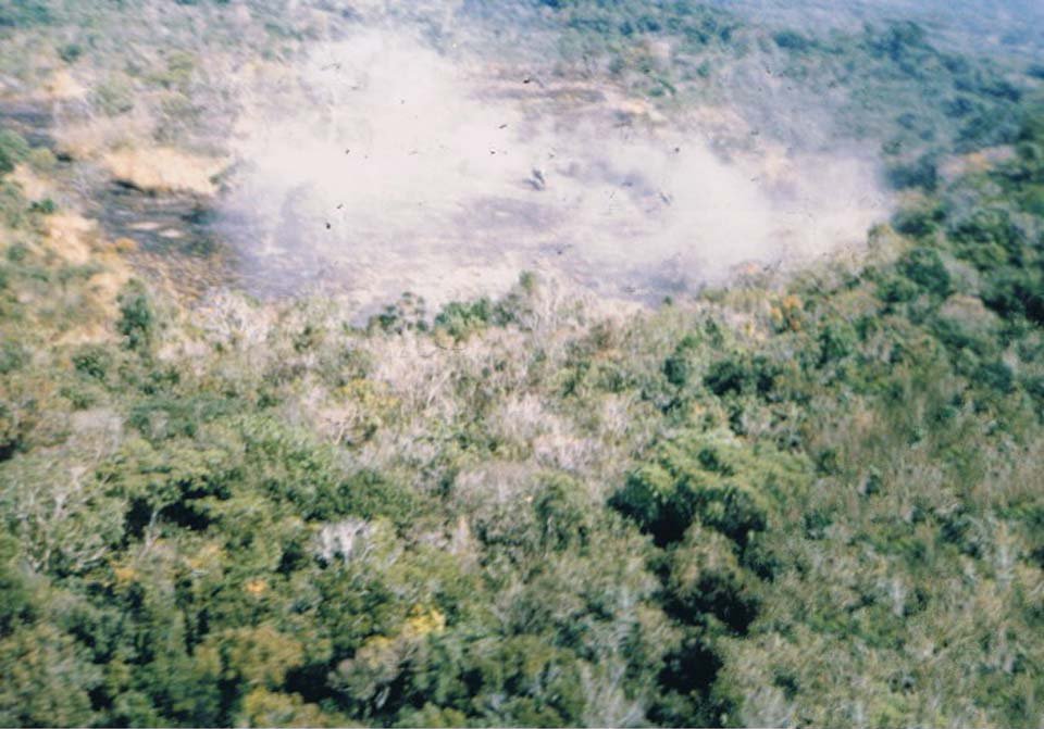 Ia Drang 1965_11_14 (21).jpg