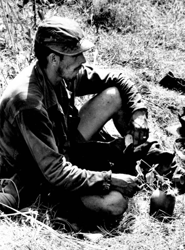 Ia Drang 1965_11_15 (1).jpg