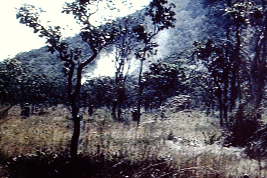 Ia Drang 1965_11_15 (5).jpg