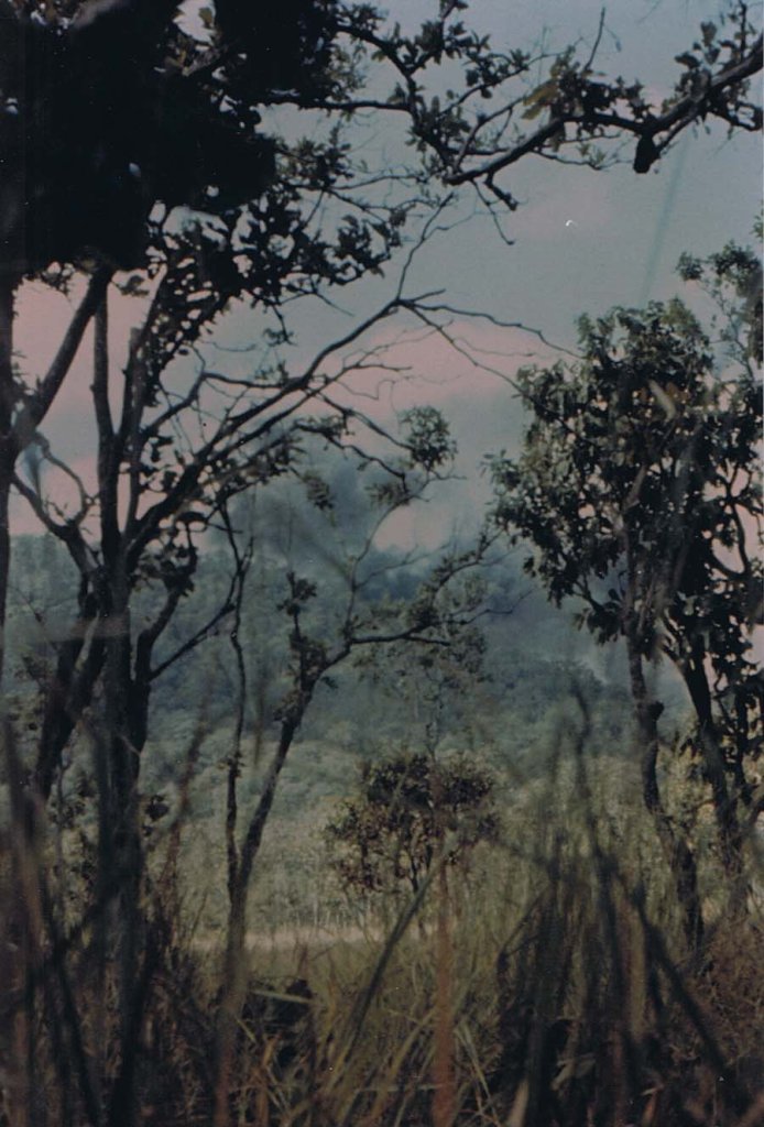 Ia Drang 1965_11_15 (6).jpg