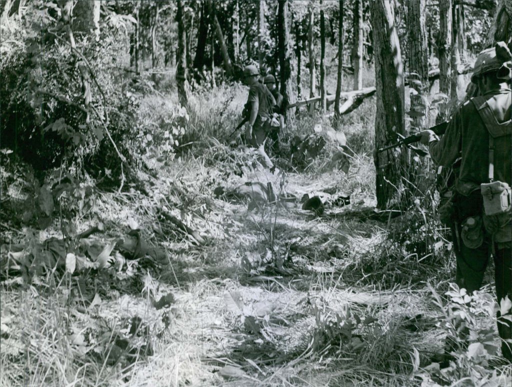 Ia Drang 1965_11_16 (9).jpg