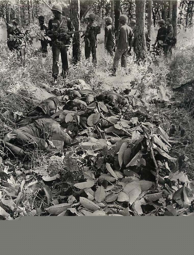 Ia Drang 1965_11_17 (4).jpg