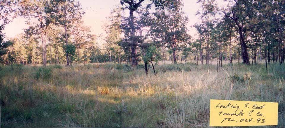 Ia Drang 1993_11 (4).jpg