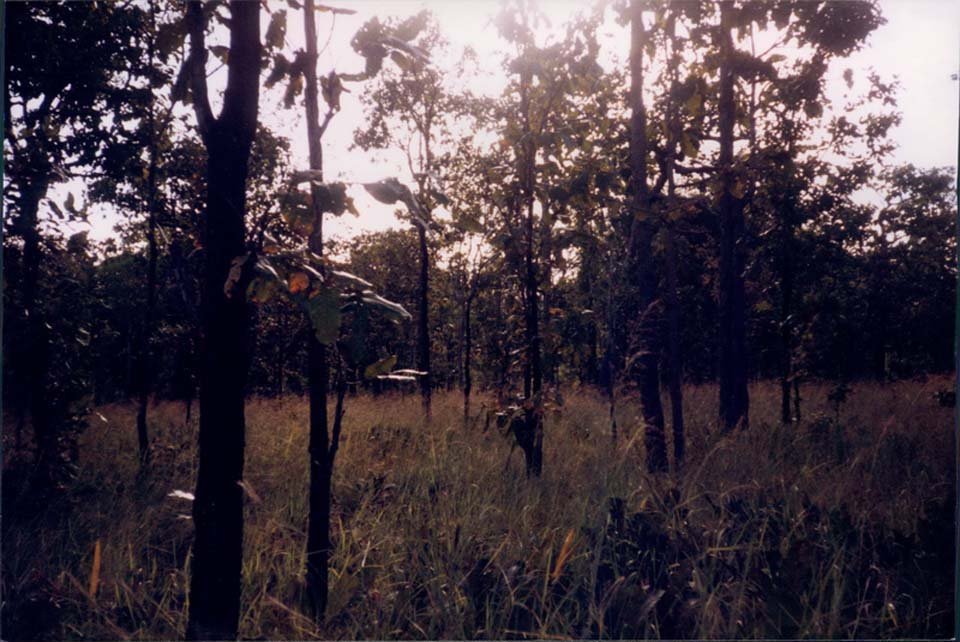 Ia Drang 1997_12 (3).jpg