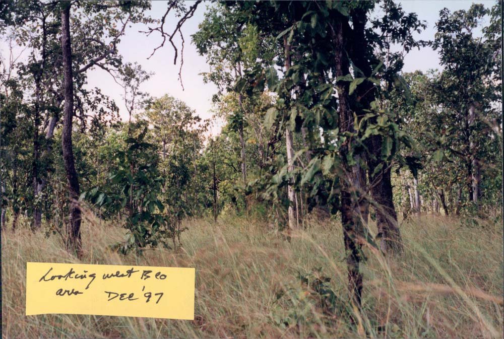 Ia Drang 1997_12 (1).jpg