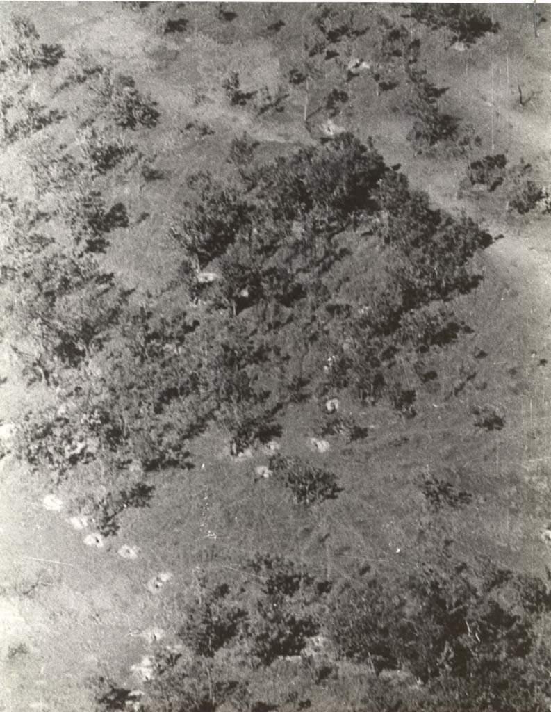 Ia Drang 1965_11_17 (22).jpg