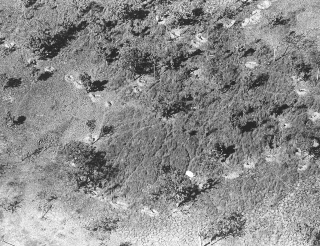 Ia Drang 1965_11_17 (26).jpg