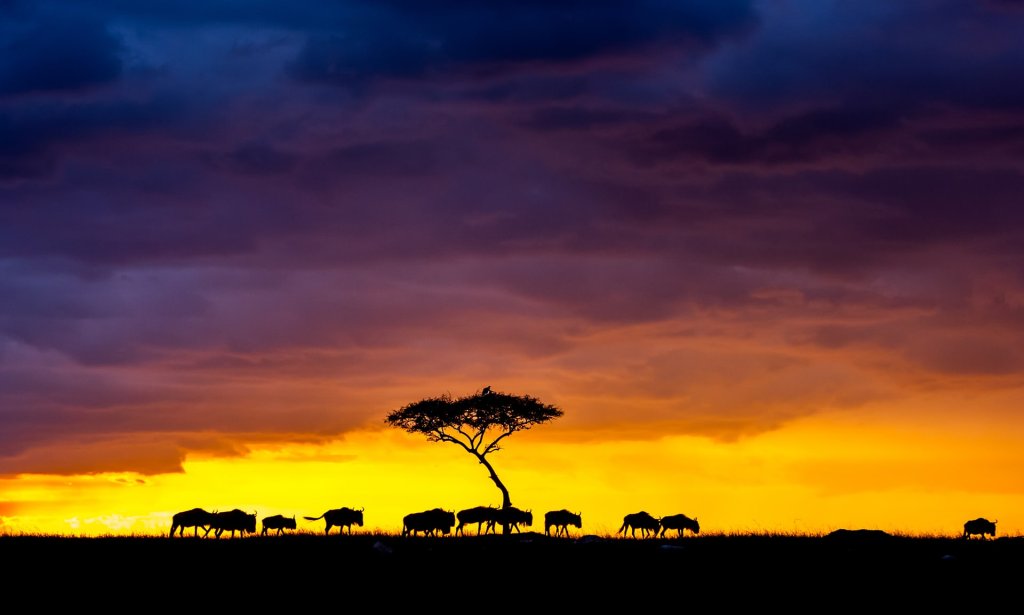 Sự kiện (4_12).jpg