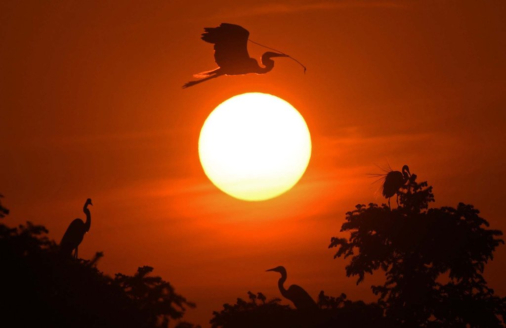 Sự kiện (4_19).jpg