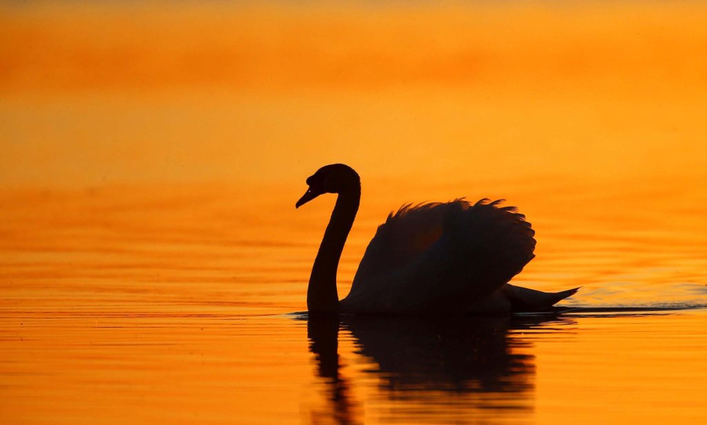 Sự kiện (4_21).jpg