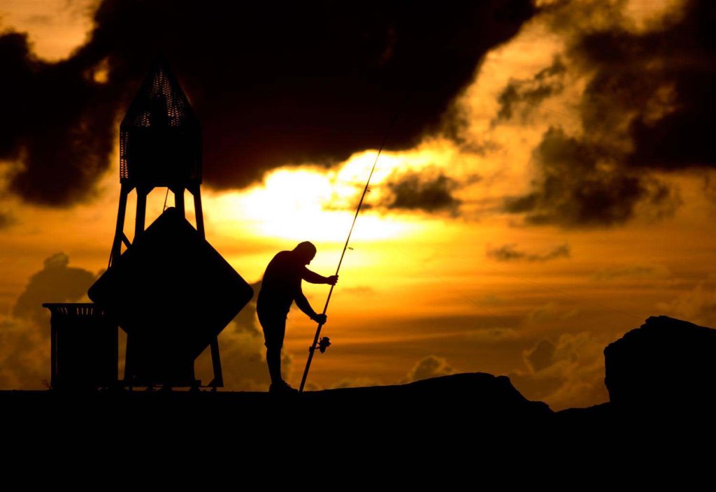 Sự kiện (4_24).jpg