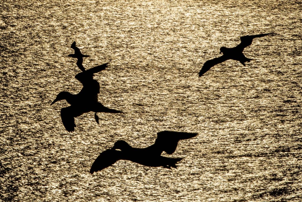 Sự kiện (4_31).jpg