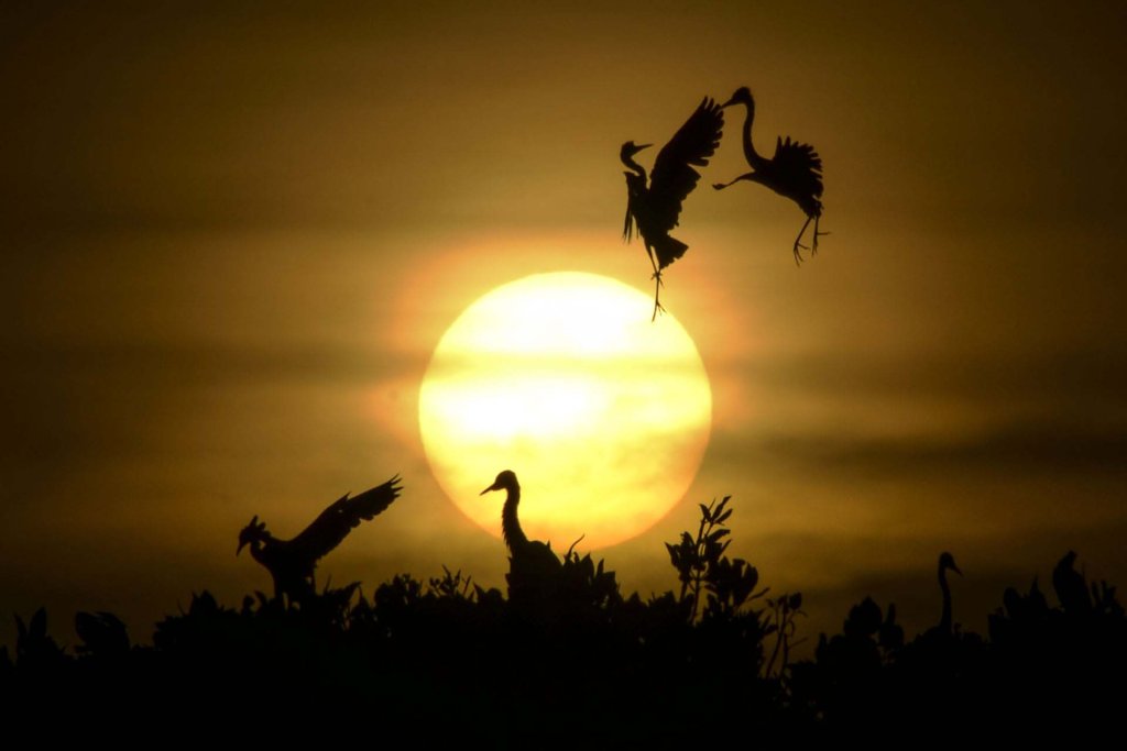 Sự kiện (4_32).jpg