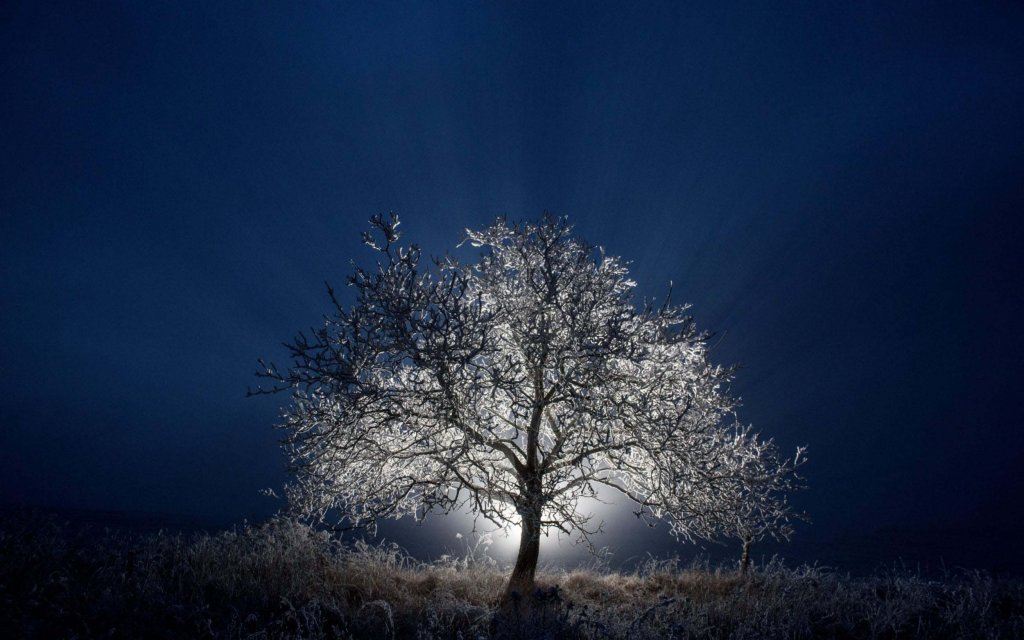 Sự kiện (4_49).jpeg