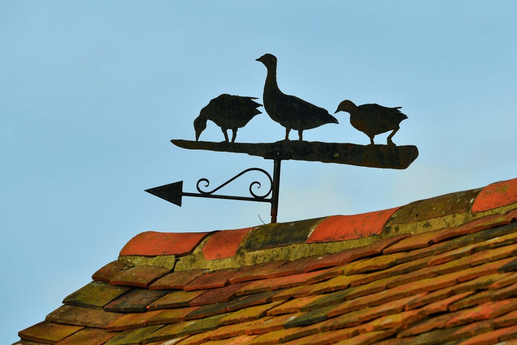 Sự kiện (4_74).jpeg