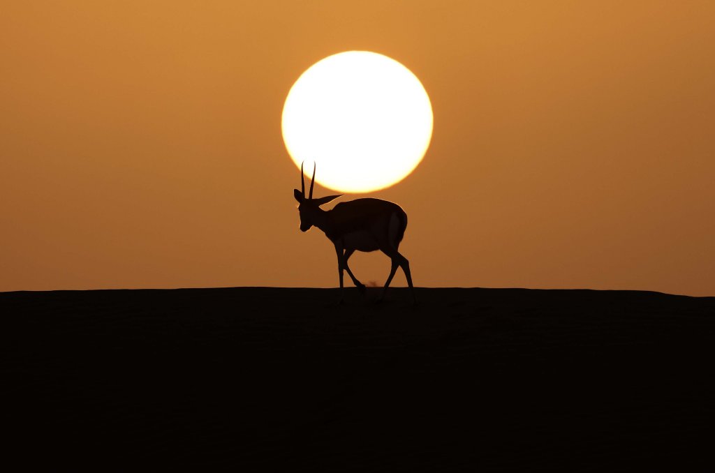 Sự kiện (4_78).jpeg