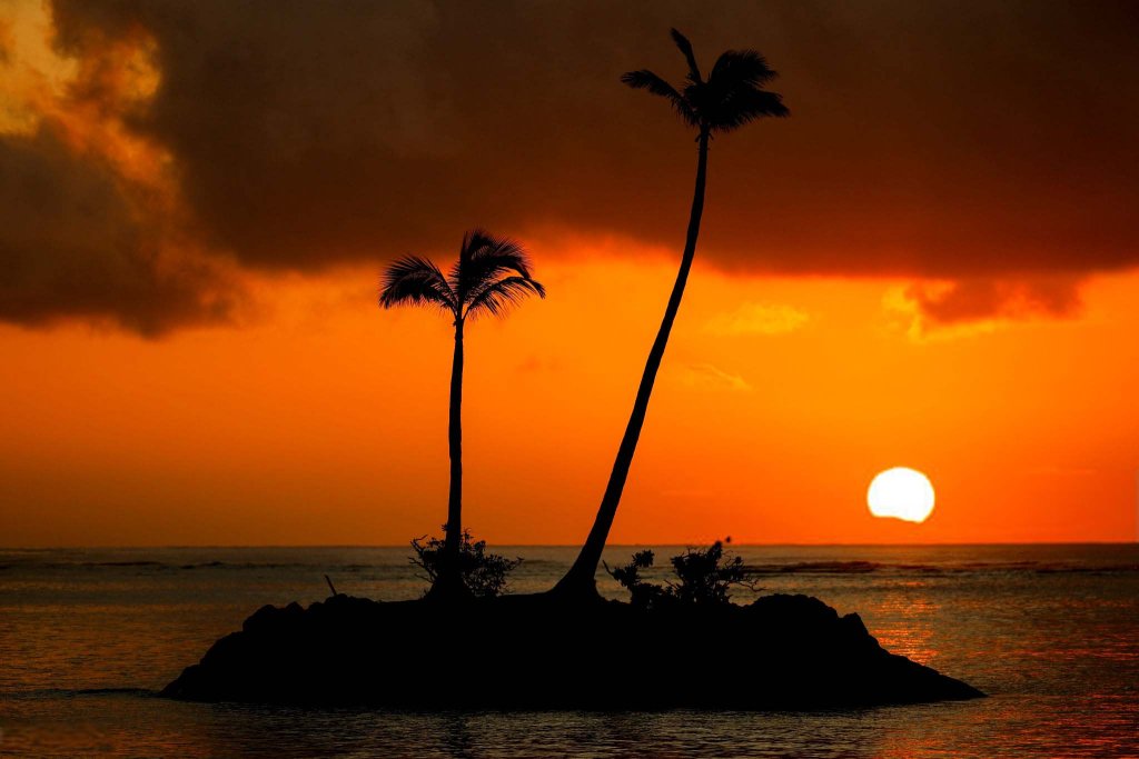 Sự kiện (4_99).jpg