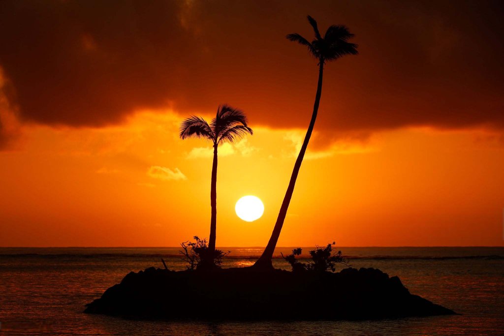 Sự kiện (4_100).jpg